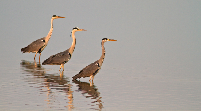 Photographing the Danube Delta with Canon 7D